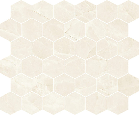 Beige Hexagon 2x2 Matte