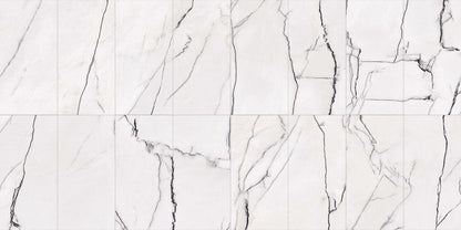 Bianca 12x24 Matte