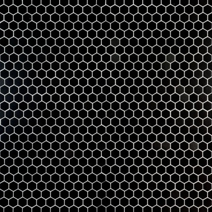 Black Hexagon 1x1