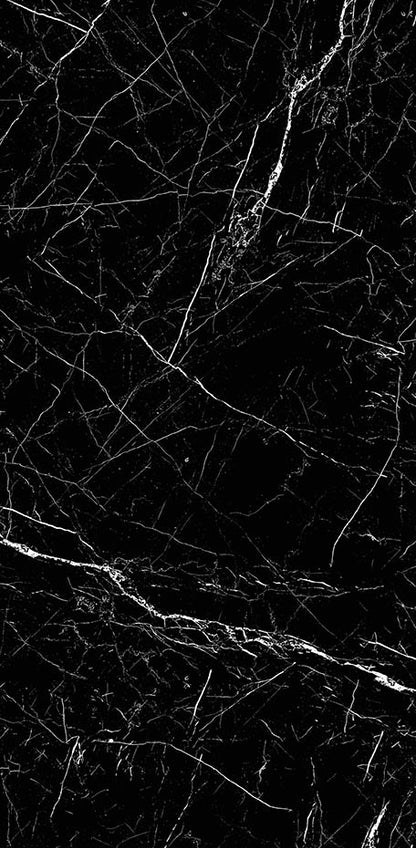 Black Marble 24x48 Polished