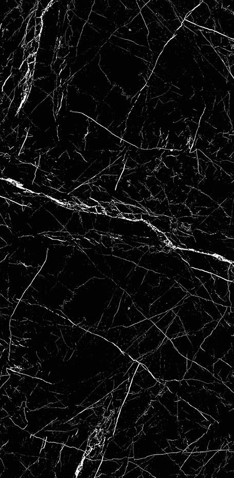 Black Marble 24x48 Polished