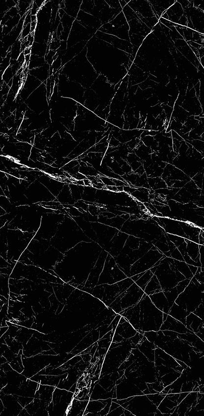Black Marble 24x48 Polished