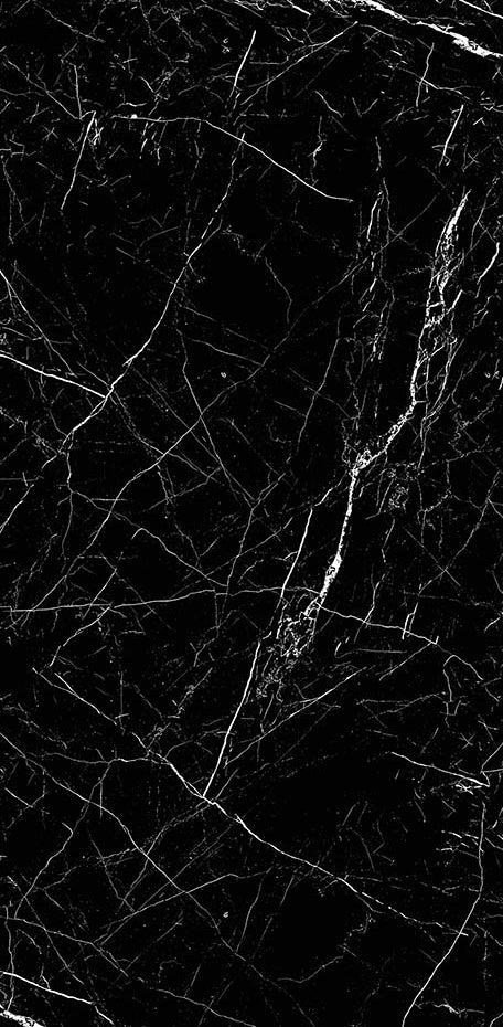 Black Marble 24x48 Polished