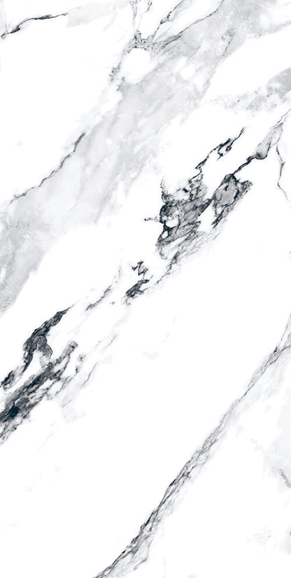 Blanco 24x48 Polished