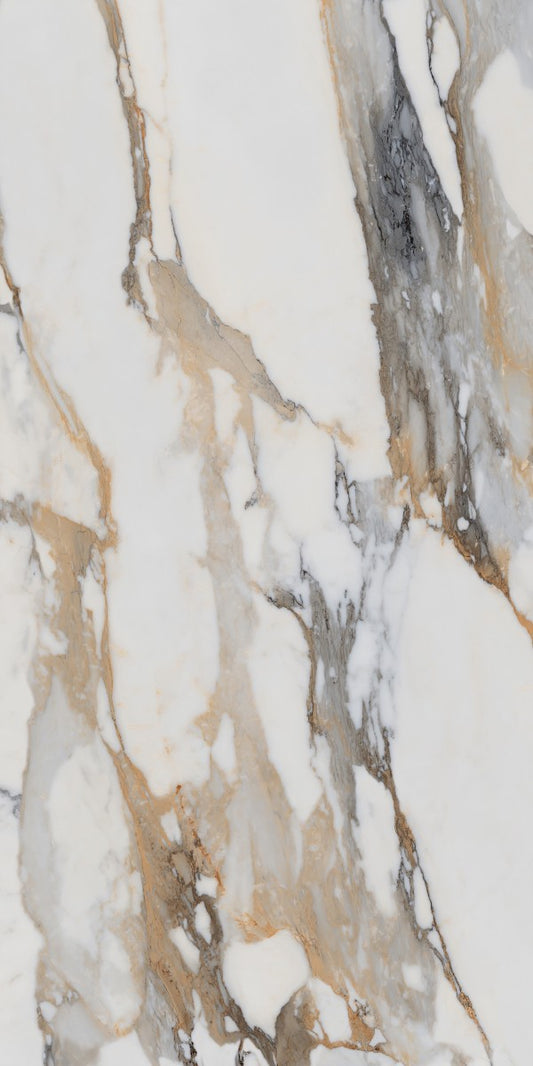 Bold 12x24 Polished