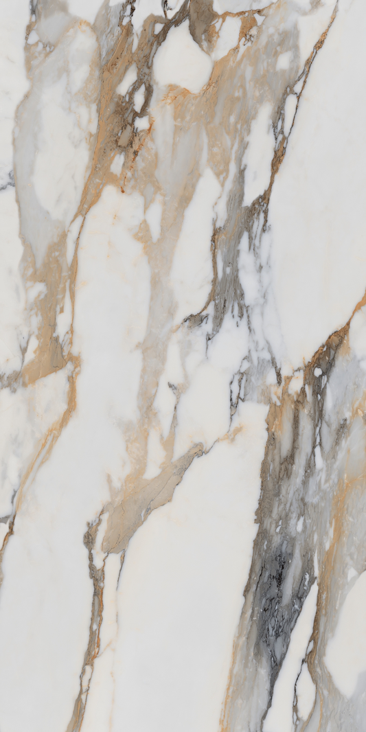 Bold 24x48 Polished