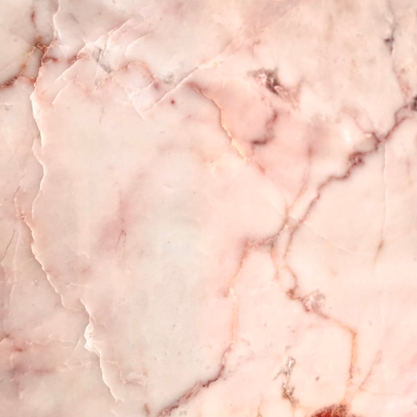 Dove Pink 12x12