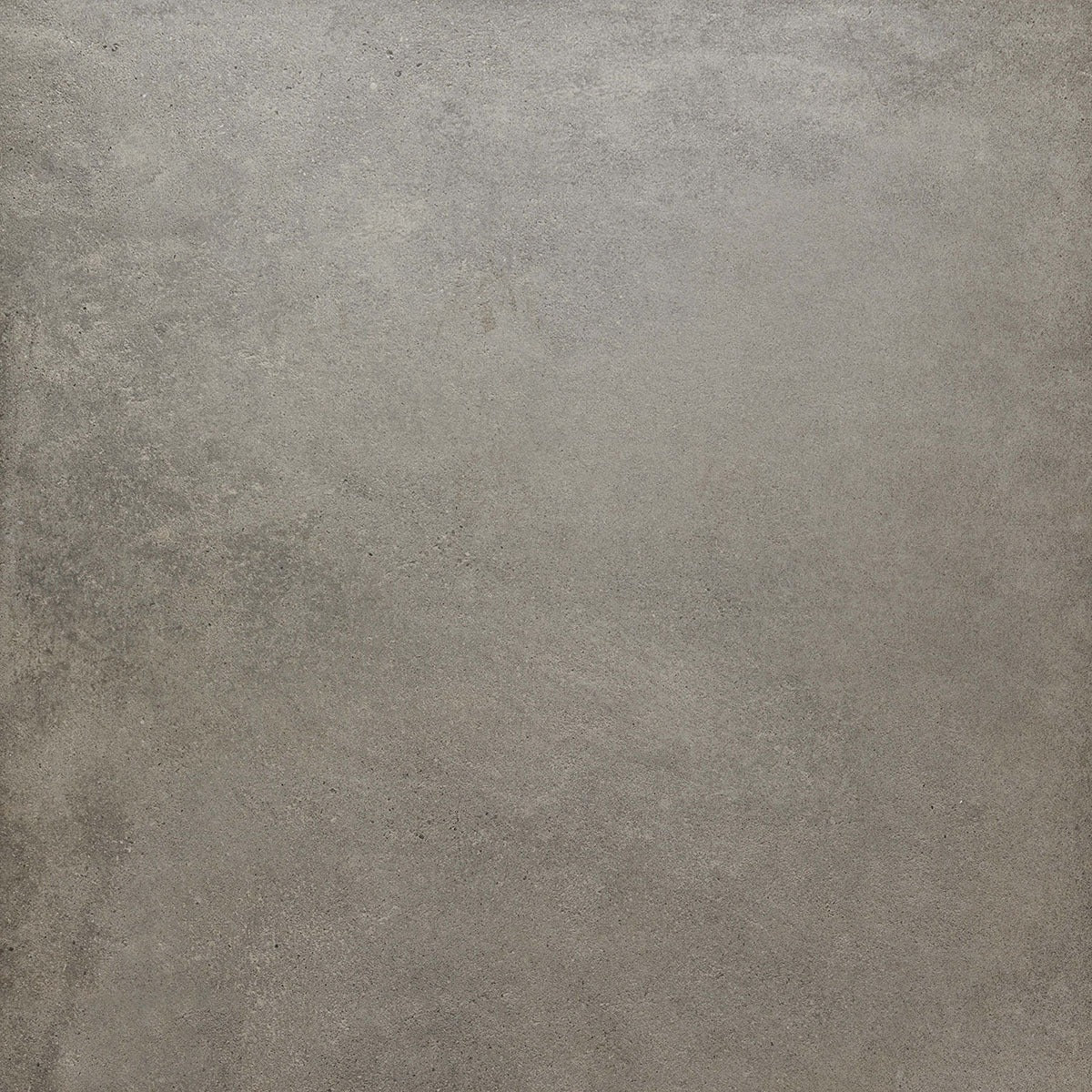 The Loop 24x24