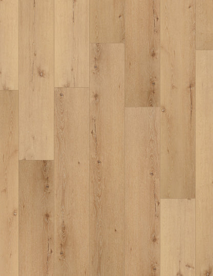 Cairo Oak 9x73