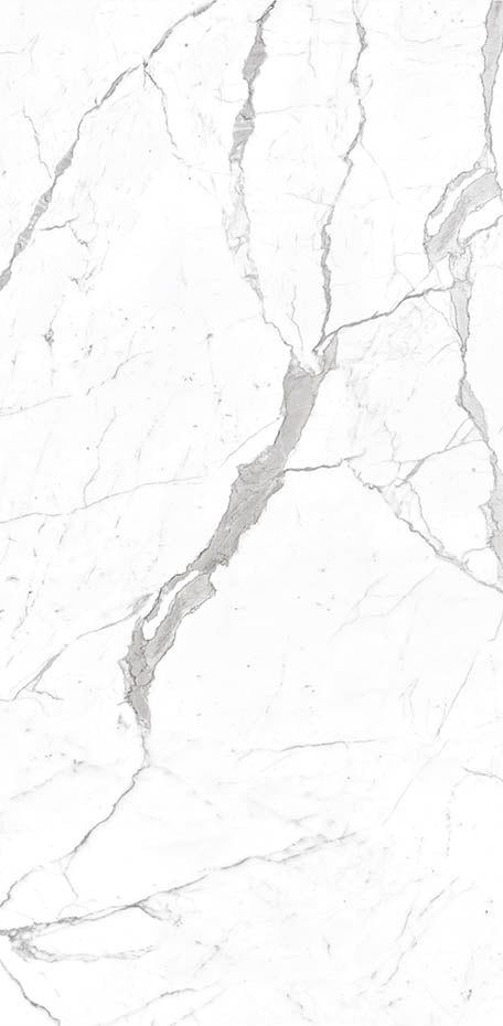 Calacatta 24x48 Textured