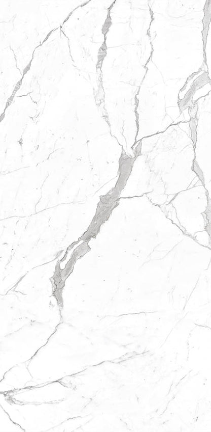 Calacatta 24x48 Textured