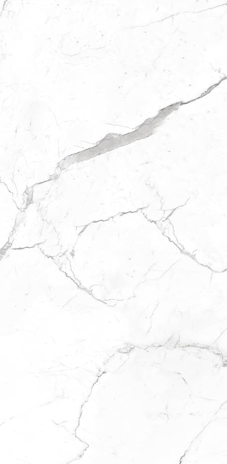 Calacatta 24x48 Textured