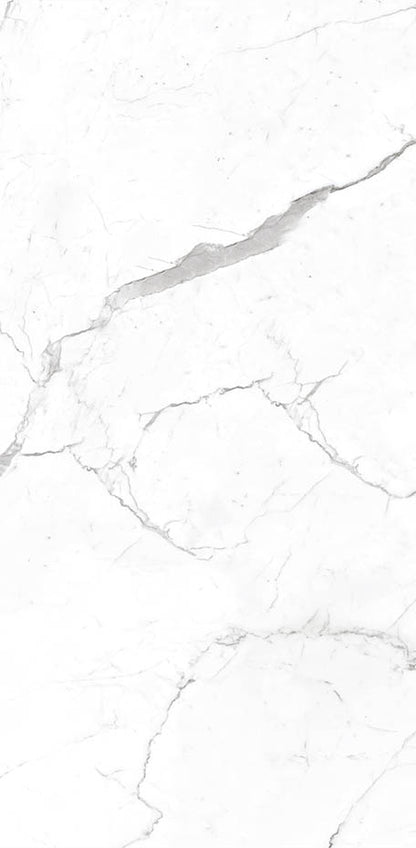 Calacatta 24x48 Textured