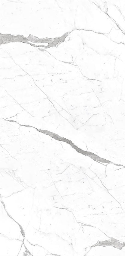 Calacatta 24x48 Textured