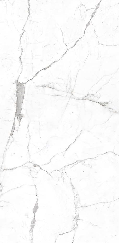 Calacatta 24x48 Textured