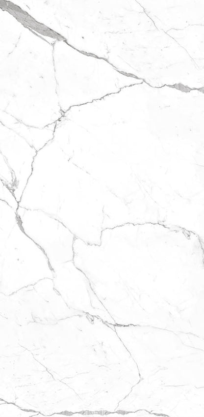 Calacatta 24x48 Textured