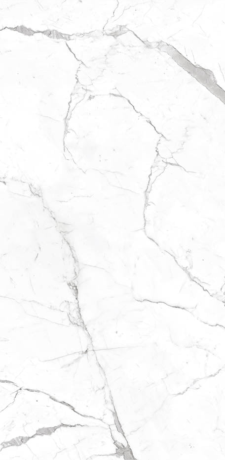 Calacatta 24x48 Textured