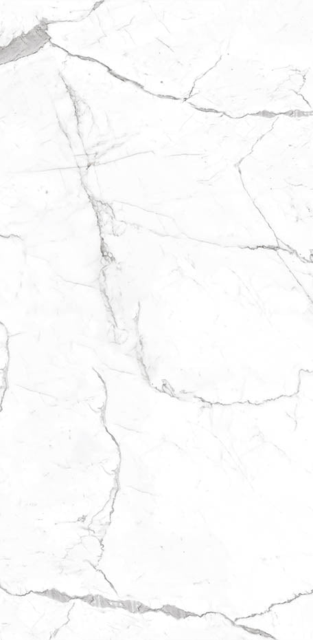 Calacatta 24x48 Textured
