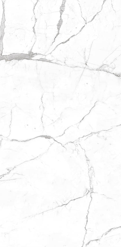 Calacatta 24x48 Textured