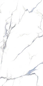 Calacatta Aqua 24x48 Polished