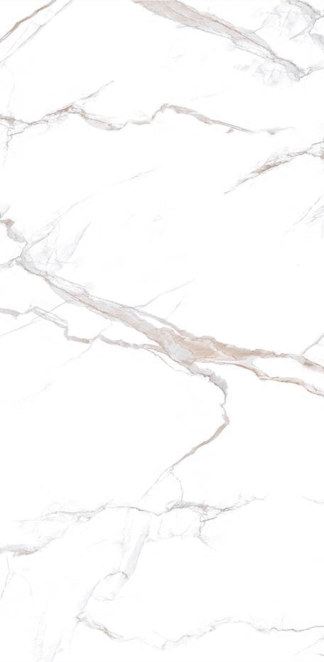 Calacatta Bronze 24x48 Matte