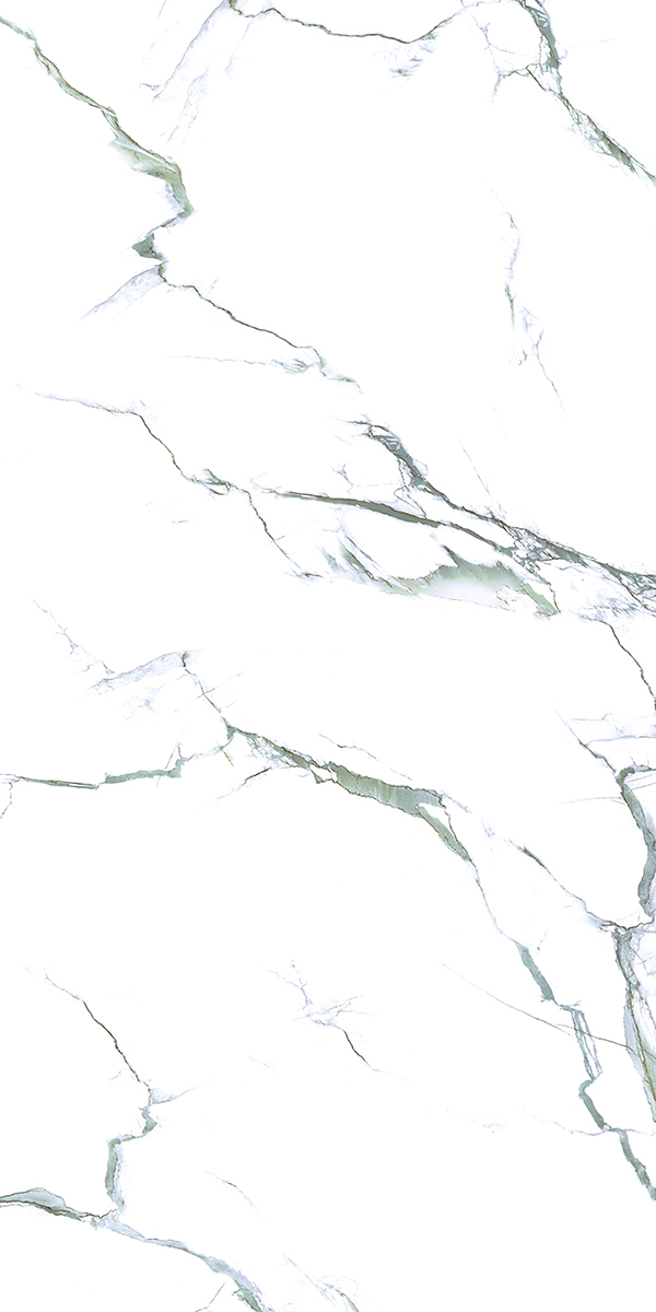 Calacatta Green 24x48 Polished