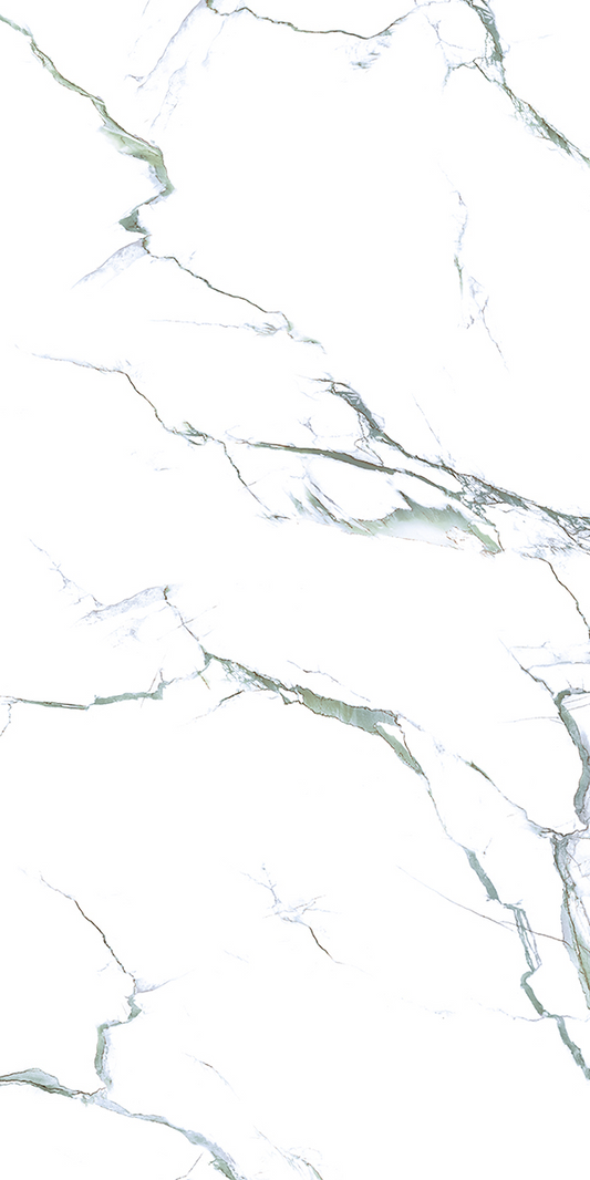 Calacatta Green 24x48 Polished