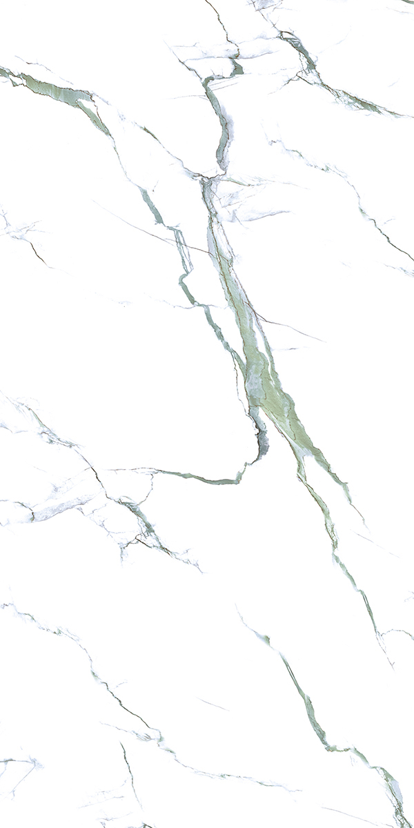 Calacatta Green 24x48 Polished