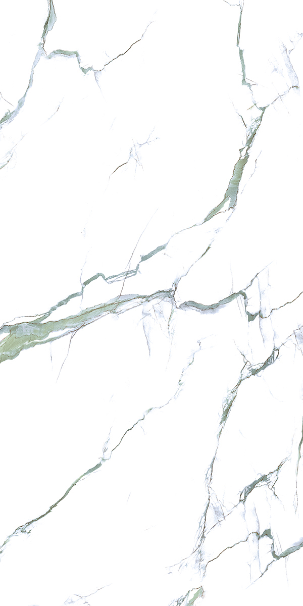 Calacatta Green 24x48 Polished