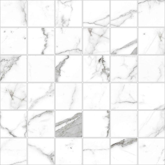 Calacatta Pearl 2x2 Matte