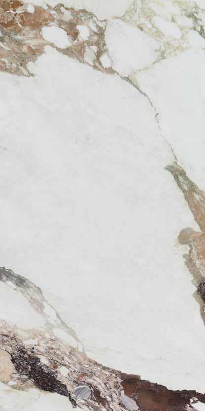Calacatta Viola 24x48 Natural