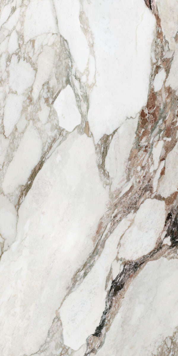 Calacatta Viola 24x48 Natural