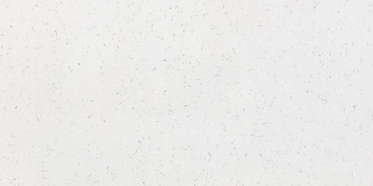 Solid light gray color swatch