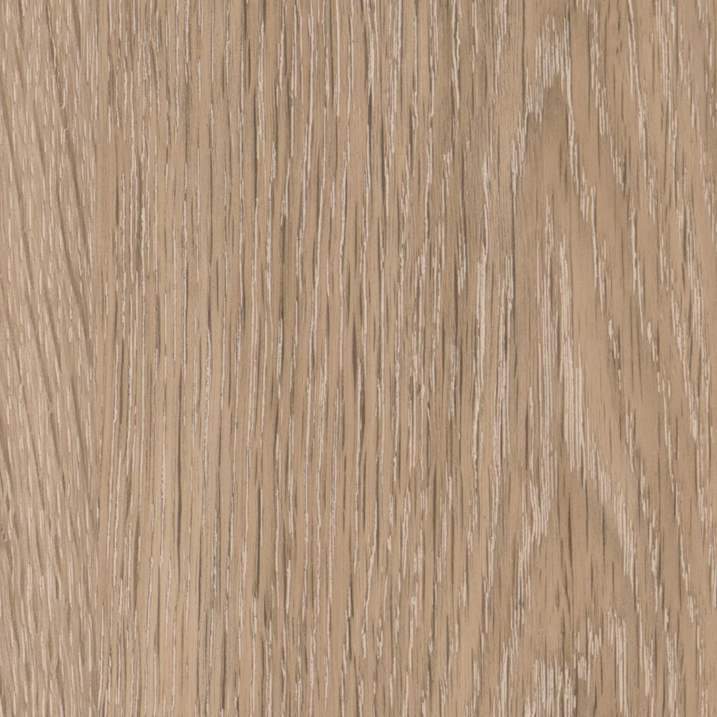Chamois Oak 6x48