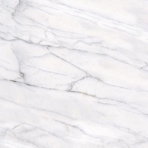 Classic Carrara 12x12 Matte