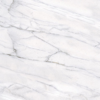 Classic Carrara 12x12 Matte