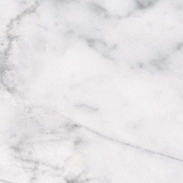 Classic Carrara 12x12 Matte