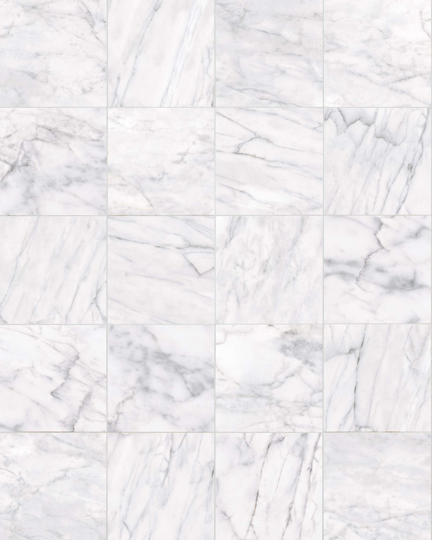 Classic Carrara 12x12 Matte