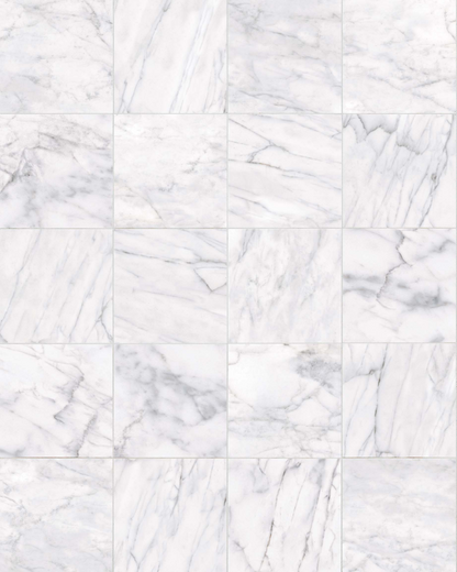 Classic Carrara 12x12 Matte