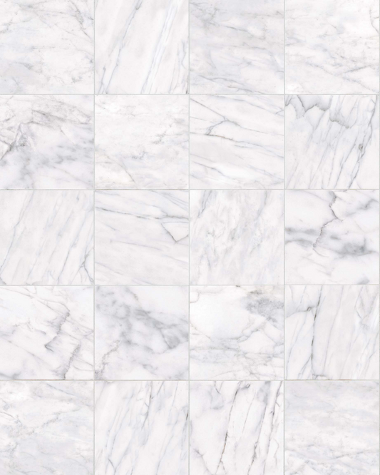 Classic Carrara 12x12 Matte