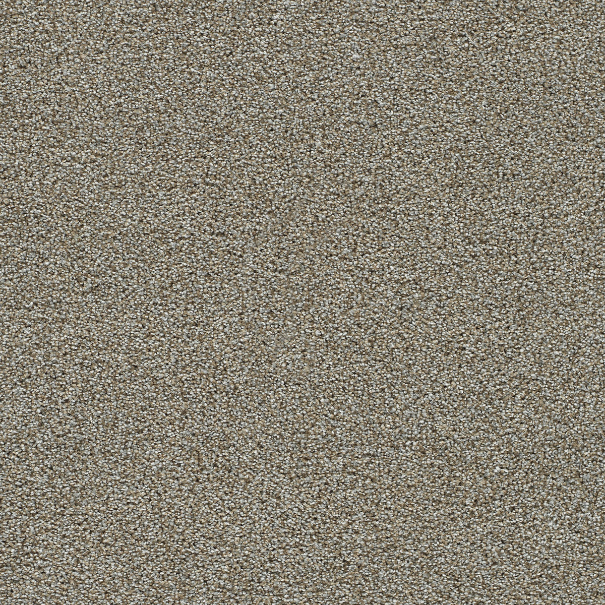 Crescent solution dyed cut pile carpet