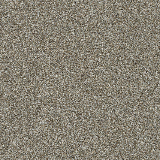 Crescent solution dyed cut pile carpet