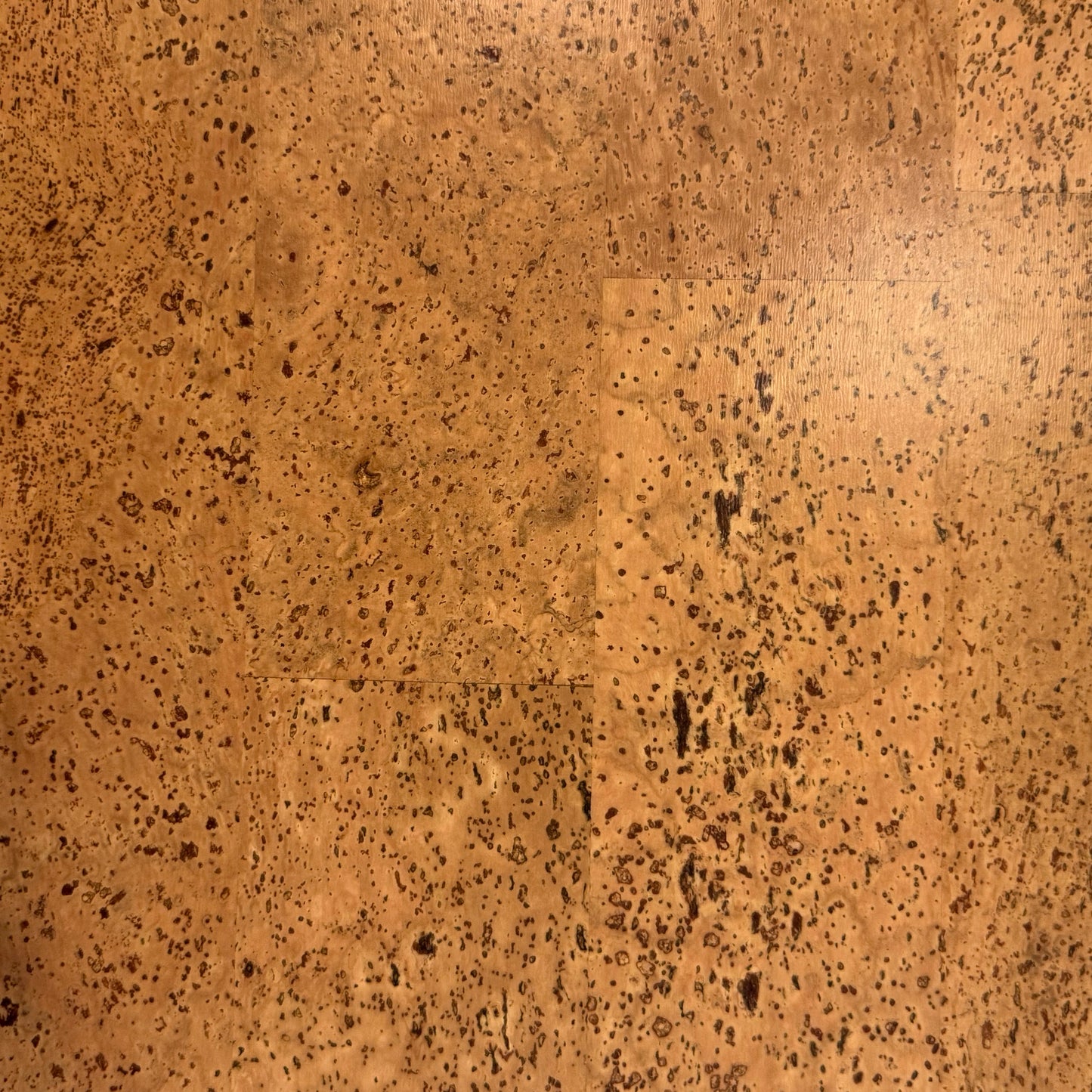 Aphrodite Cork 12x36