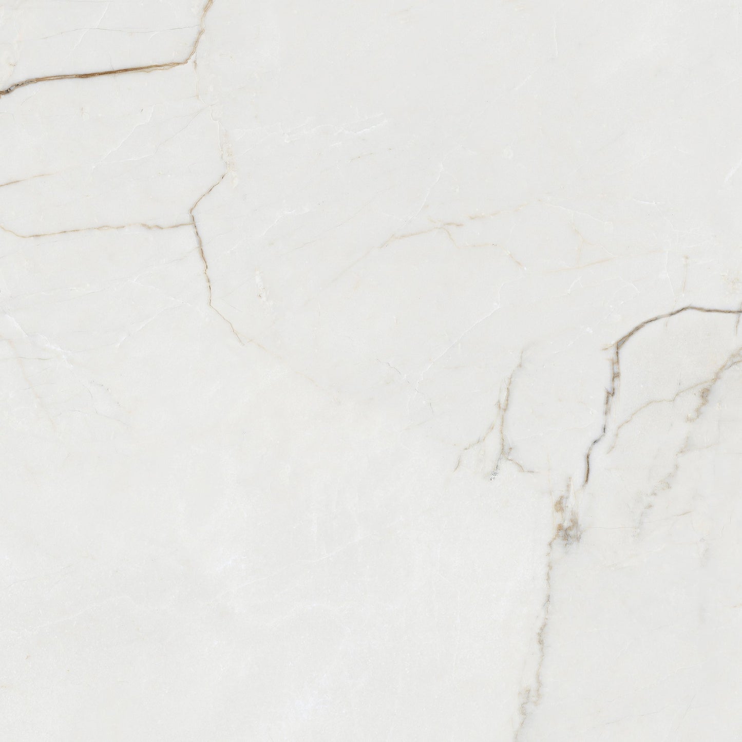 Destino Juliet Glossy 24x24 Porcelain Tile