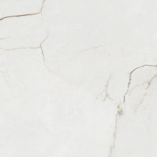 Destino Juliet Glossy 24x24 Porcelain Tile