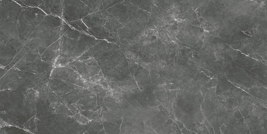 Destino Romeo Matte 24x48 Porcelain Tile
