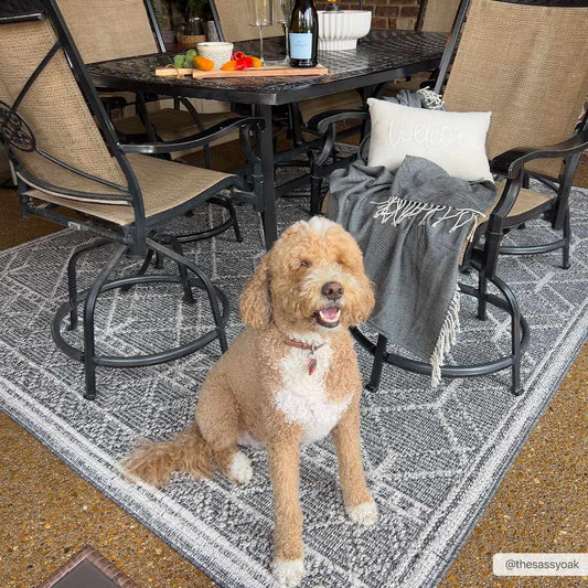 Diah Black Textured Trellis Rug - Limited Edition