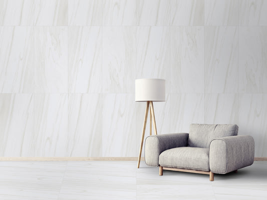 Dolomite Gray 24x48 Matte