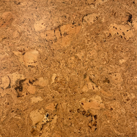 Odysseus Cork 12x36