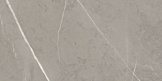Ecstasy Rapture 24x48 Glossy Porcelain Slab